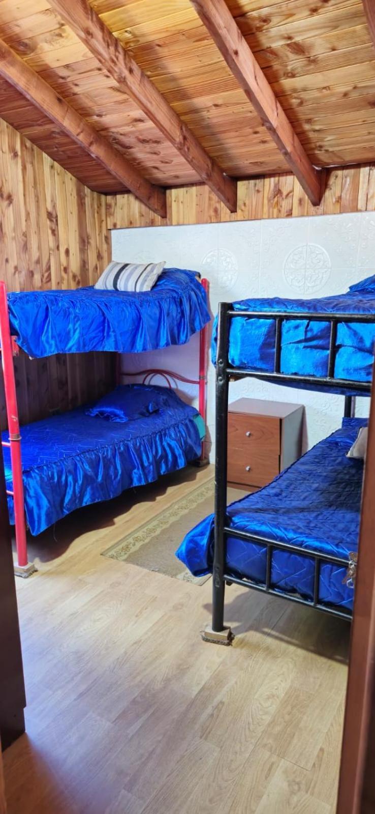 Hostal Maitahue Pucón المظهر الخارجي الصورة